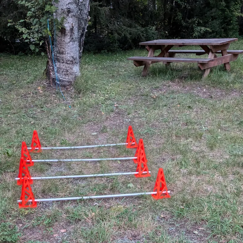 Outdoor setup of cavaletti rails and orange cones on grass.
