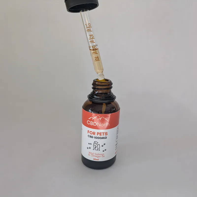 Un gros plan d'un compte-gouttes en verre retiré d'une bouteille d'huile de CBD pour animaux CBDNorth.