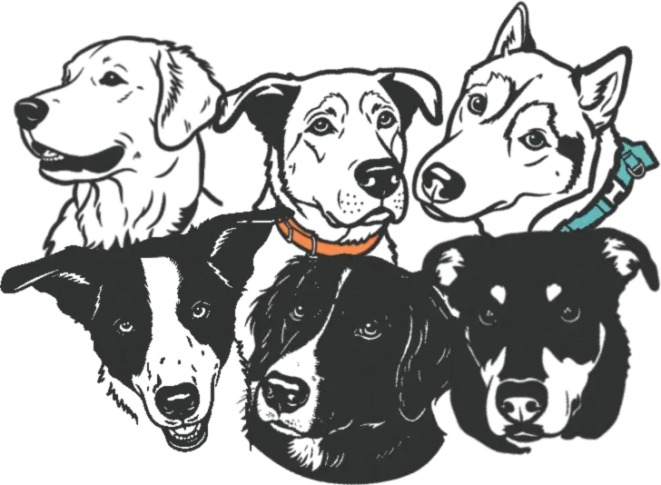 A charcoal group portrait of six different dogs sitting together, including a Golden Retriever, a Husky, and several mixed breeds, next to a call-to-action button on a transparent background.