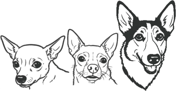 A horizontal charcoal sketch of three dogs of different sizes—two chihuahuas on the left and a larger dog on the right—on a transparent background.