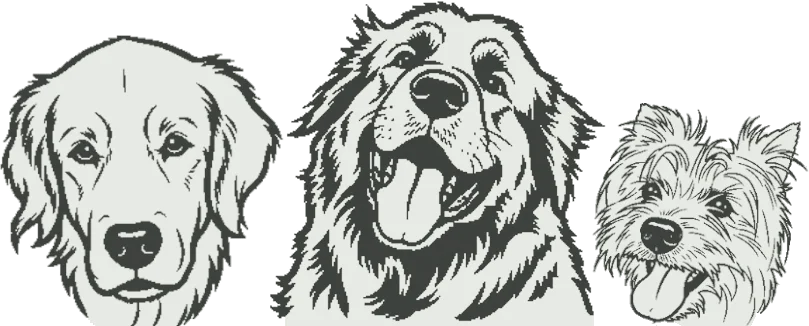 A detailed charcoal sketch of three dogs (Duke, Baya, and Comet) showcasing soft textures and expressive features.