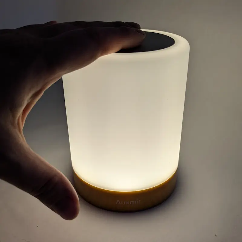 Hand touching a dimmable globe night light to adjust brightness for a senior dog's room.