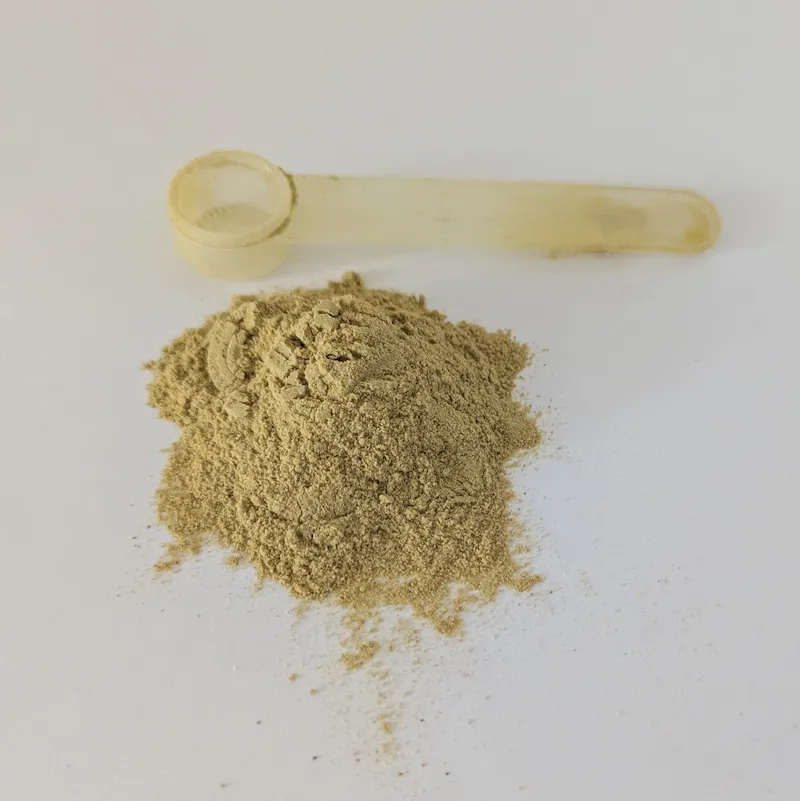 A pile of greenish-brown Green Lipped Mussel powder next to a plastic measuring scoop.