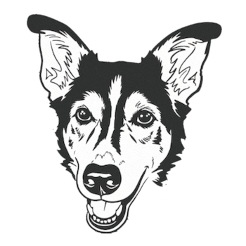 Croquis au fusain simplifié d'une tête de chien utilisé comme signature de marque en bas de page.