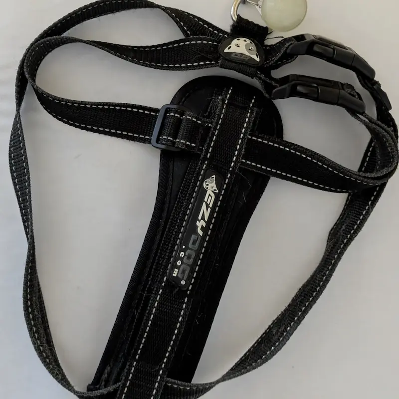 Black comfort padded dog harness with a supportive chest plate on a white background.