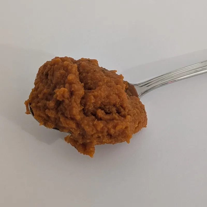 A spoonful of smooth, orange pumpkin digestive purée for dogs.