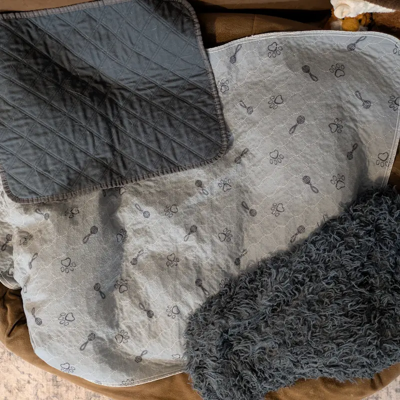 Large and small pee pads on dog bed.