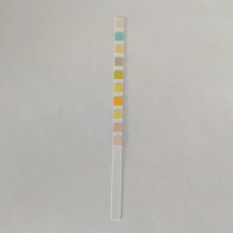 Une seule bandelette d'analyse d'urine à plusieurs paramètres montrant divers tampons de test à code couleur.