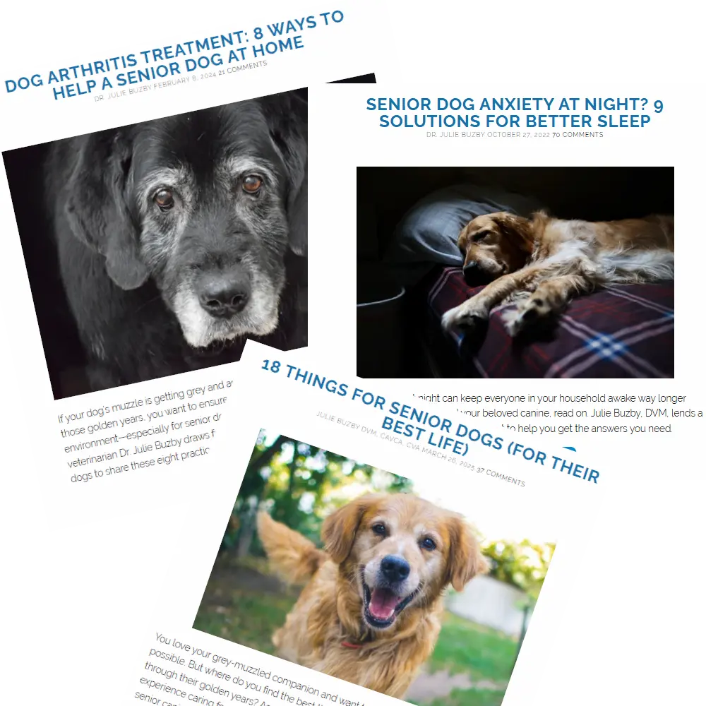 Un collage de couvertures d'articles de blogue du Dr Buzby, incluant des sujets tels que « 9 façons d'aider un chien senior à la maison » et « Solutions pour un meilleur sommeil pour les chiens seniors souffrant d'anxiété nocturne ».