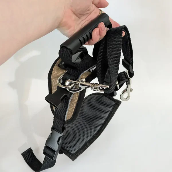 A hand holding the padded handle of the Solvit rear harness to demonstrate the lifting grip.